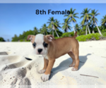 Image preview for Ad Listing. Nickname: 8th Female