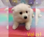 Image preview for Ad Listing. Nickname: Val