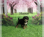 Image preview for Ad Listing. Nickname: Honor