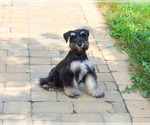 Image preview for Ad Listing. Nickname: Cameron