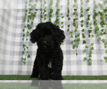 Image preview for Ad Listing. Nickname: Iana