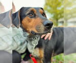 Small #2 Breeder Profile image
