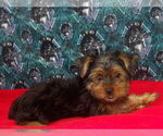 Image preview for Ad Listing. Nickname: ZEUS