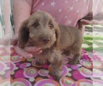Image preview for Ad Listing. Nickname: Harolynn