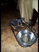 Small Photo #17 Miniature Pinscher Puppy For Sale in BULGER, PA, USA