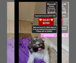 Image preview for Ad Listing. Nickname: Kenzie