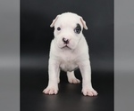 Image preview for Ad Listing. Nickname: Helen