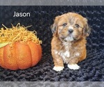 Image preview for Ad Listing. Nickname: Jason