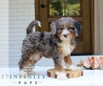 Image preview for Ad Listing. Nickname: Geneva