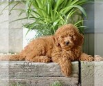 Image preview for Ad Listing. Nickname: Corey