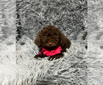 Image preview for Ad Listing. Nickname: Alyssa