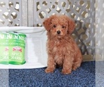 Image preview for Ad Listing. Nickname: Abel