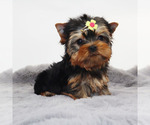 Image preview for Ad Listing. Nickname: Yami