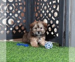 Image preview for Ad Listing. Nickname: Tommy