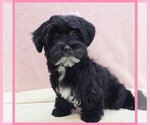 Image preview for Ad Listing. Nickname: Janet
