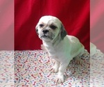Image preview for Ad Listing. Nickname: Alex