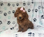 Image preview for Ad Listing. Nickname: Sky