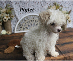 Image preview for Ad Listing. Nickname: Piglet