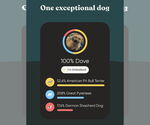 Small #6 German Shepherd Dog-Great Pyrenees Mix