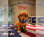 Image preview for Ad Listing. Nickname: Blaze