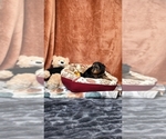  - Photo #3