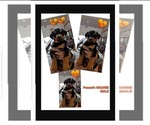 Puppy Puppy 2 Rottweiler