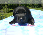 Image preview for Ad Listing. Nickname: Fiji White Sand