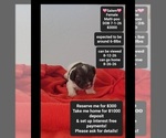 Image preview for Ad Listing. Nickname: Salem