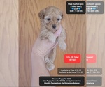 Image preview for Ad Listing. Nickname: Zack