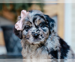 Image preview for Ad Listing. Nickname: Cassie