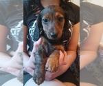 Image preview for Ad Listing. Nickname: Mia