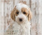 Image preview for Ad Listing. Nickname: Lashanda