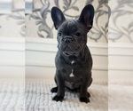 Image preview for Ad Listing. Nickname: Bruno