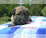 Image preview for Ad Listing. Nickname: Coastal Cottage