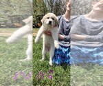 Image preview for Ad Listing. Nickname: Number 6