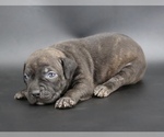 Image preview for Ad Listing. Nickname: Sandy