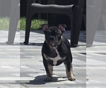 Image preview for Ad Listing. Nickname: Nala