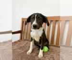 Small #2 Labbe