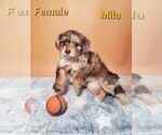 Image preview for Ad Listing. Nickname: Mila