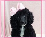 Image preview for Ad Listing. Nickname: Katie