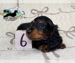 Image preview for Ad Listing. Nickname: Boston