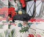  - Photo #5