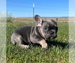 Image preview for Ad Listing. Nickname: Cesar