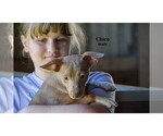 Image preview for Ad Listing. Nickname: Litter of 2