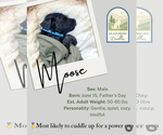 Small #2 Goldendoodle
