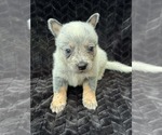 Image preview for Ad Listing. Nickname: Plain Face Male