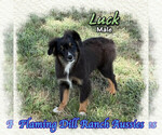 Image preview for Ad Listing. Nickname: Luck