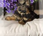 Image preview for Ad Listing. Nickname: Olivia