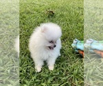 Image preview for Ad Listing. Nickname: Miumiu