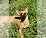 Small #2 Jack Chi